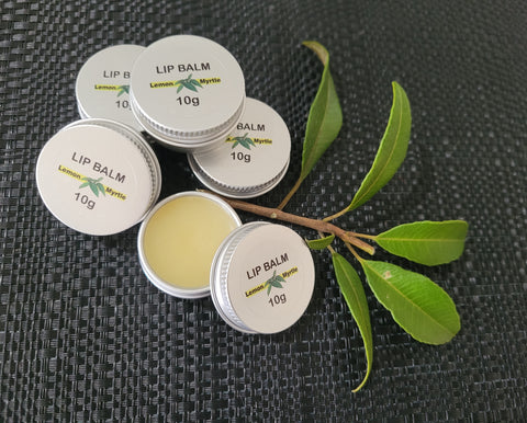 Lemon Myrtle Organic Lip Balm 10g tin with fresh lemon myrtle leaves - palm oil free cruelty free