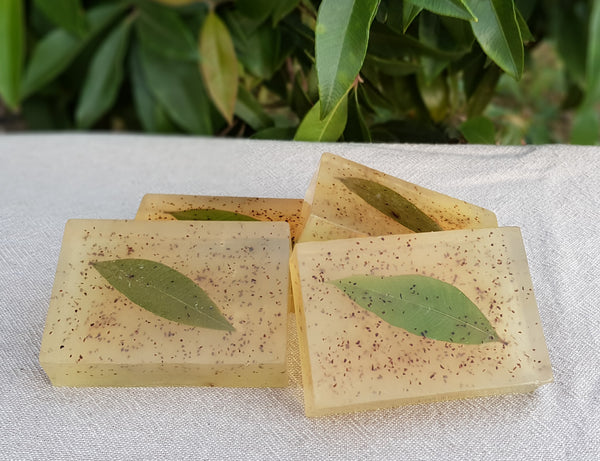 Lemon Myrtle handmade translucent soap bars with embedded lemon myrtle leaf - glycerine olive oil coconut oil