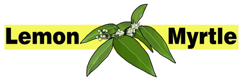 Lemon Myrtle Products